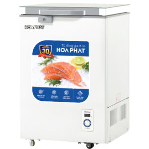 Tủ đông Hòa Phát 1 cánh HPF AD6107.T1 107 lít